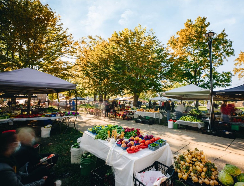 Farmers market with fresh produce under sunny autumn trees