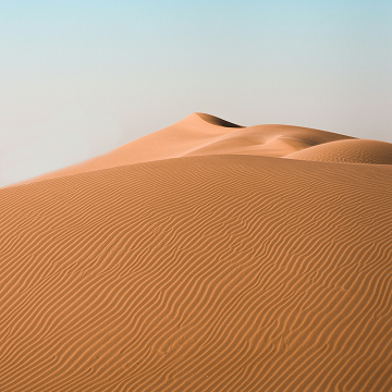 Sand dunes in warm light